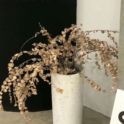 兽设城市场景创作福瑞交流群
